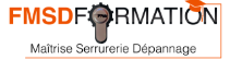 logo FMSD